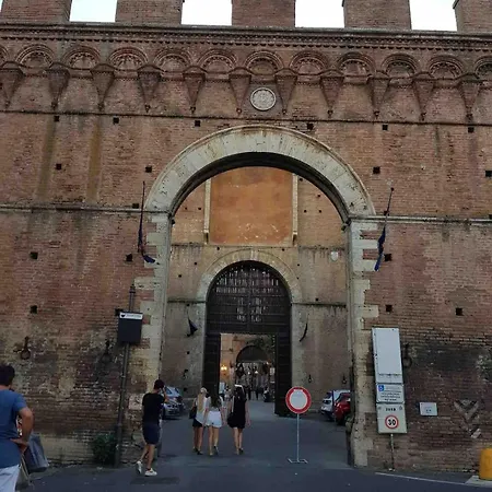 Nido Nei Pispini