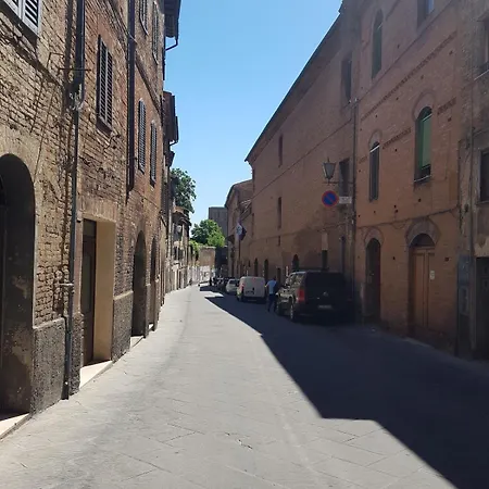 Nido Nei Pispini